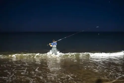 ALYASAPHIR Pêche nocturne 16